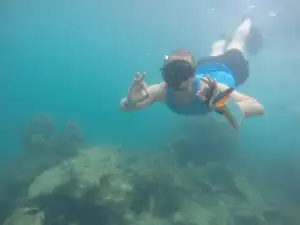 Snorkeling Tours