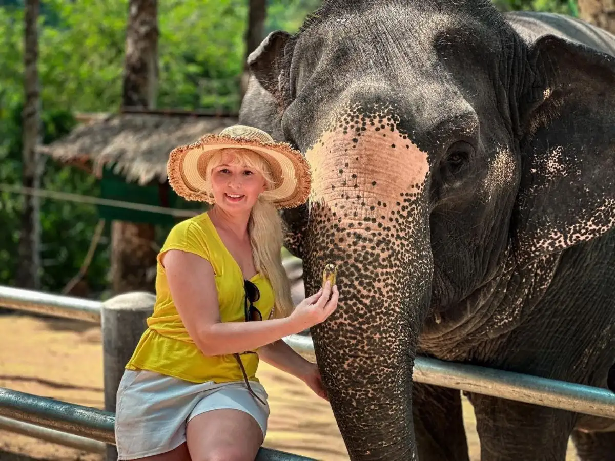 Unforgettable Mae Rim Tour with Elephant Ride Private Transfer Personal Guide