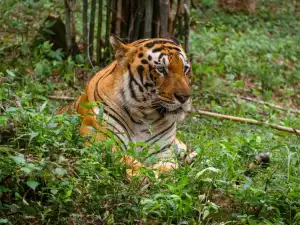 Khulna