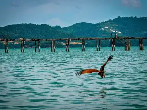 Langkawi