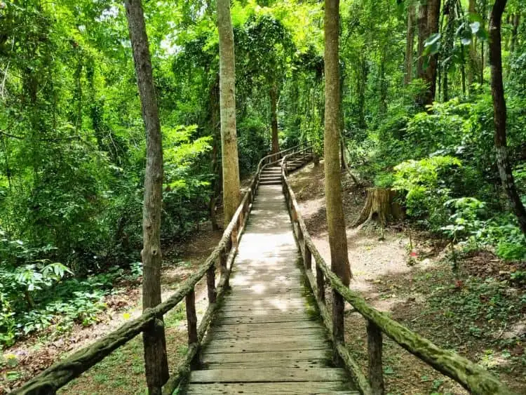 Tour image 7