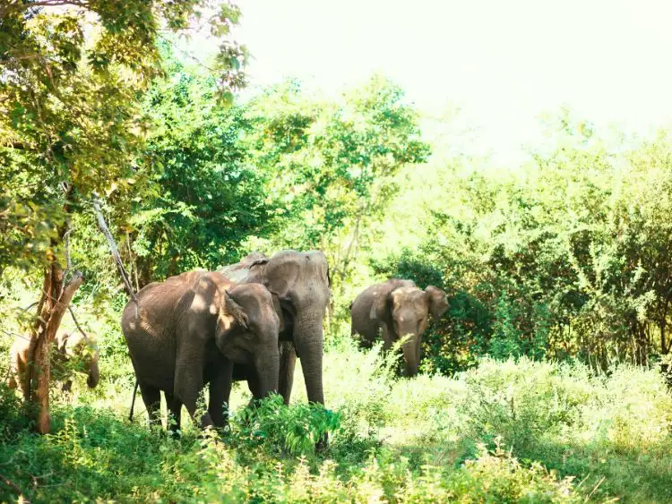 Tour image 11