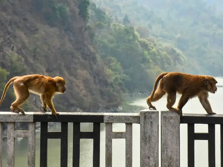 Tour image 12