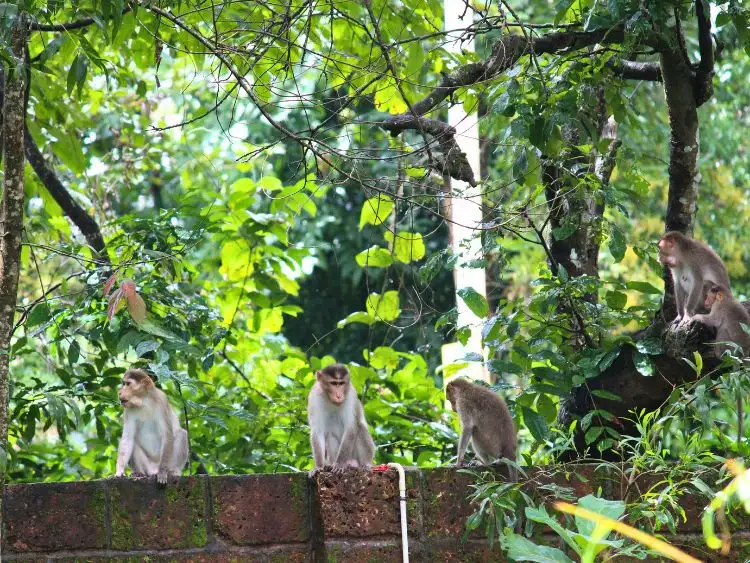 Tour image 14